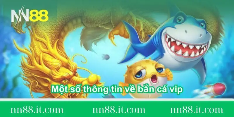 Bắn cá vip NN88 – Bí quyết săn boss nhận thưởng khủng 1 mot-so-thong-tin-ve-ban-ca-vip