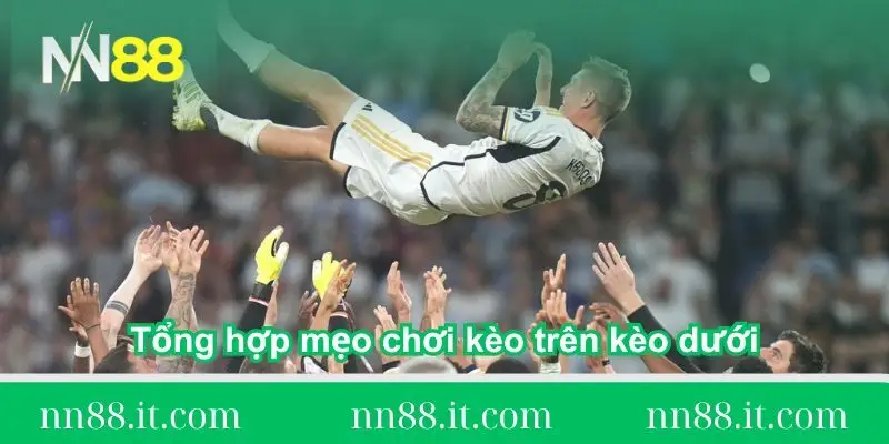 Tổng hợp mẹo chơi kèo trên kèo dưới như cao thủ lâu năm 3 tong-hop-meo-choi-keo-tren-keo-duoi